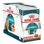 Royal Canin Pouch Hairball Control 85g 1 box (12 pouches)